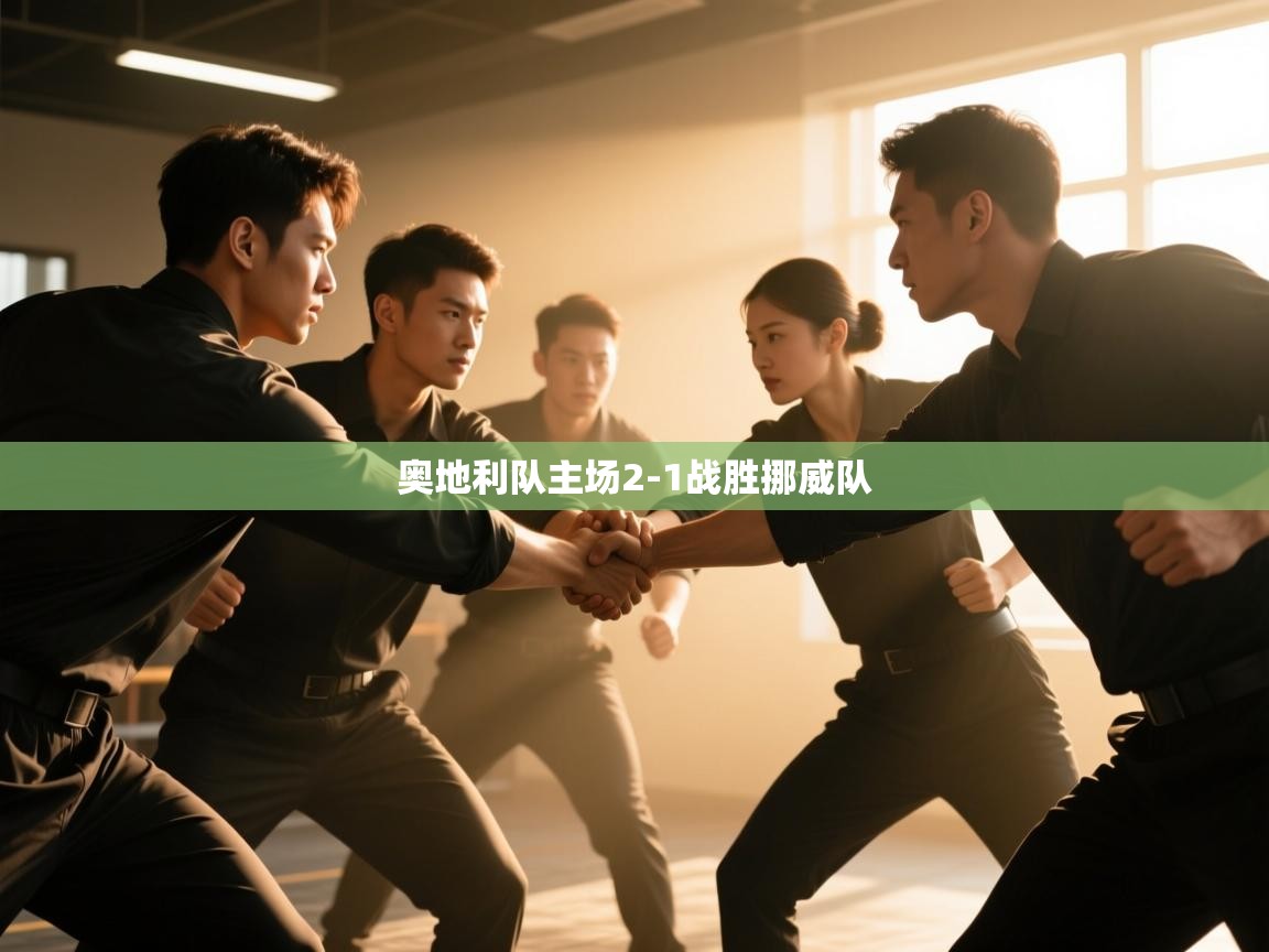 奥地利队主场2-1战胜挪威队 第2张