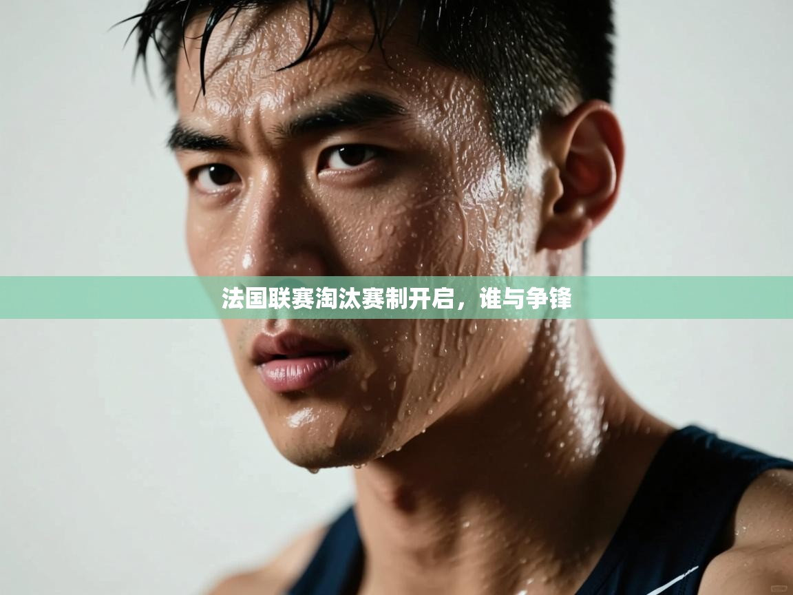 法国联赛淘汰赛制开启,谁与争锋 第1张