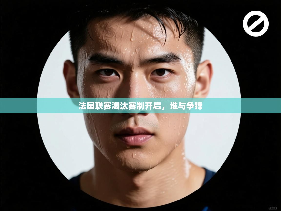 法国联赛淘汰赛制开启,谁与争锋 第2张